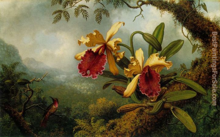 Martin Johnson Heade Paintings for sale